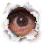 :iconitsnirmal: