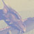 :iconitsoeze: