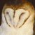 :iconitsredribbon: