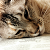 itssamanthababy :iconitssamanthababy: