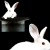 :iconitsthebunbunasaurus: