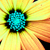 :iconitsyourfinalhour: