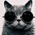 :iconitzwash: