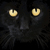 :iconiusedtobeacat: