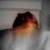:iconiv-kor: