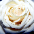 :iconivory-touch: