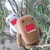 :iconivorybirre: