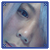 :iconivraie: