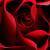 :iconivy-jewel: