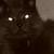 :iconivy-wolves: