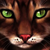 :iconivywhisker: