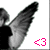 :iconiwillblamegod: