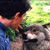 :iconiwolf1: