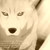 :iconiwolfx1: