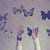:iconiwone: