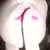 :iconixi-yume: