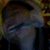 :iconiyawtfplz: