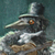 izabelabe :iconizabelabe: