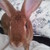 :iconizzy-darkskies:
