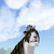 :iconizzy153:
