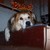 :iconizzy2589: