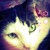 :iconizzythecatphotos: