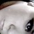:iconizzyvanity83: