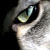 :iconizzyvision: