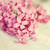 :iconj00470: