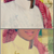 :iconj0ker013: