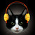 :iconj158n: