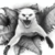:iconj1a2d3e:
