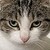 :iconj3573r: