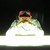 :iconj4p1: