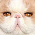 :iconj6mp6coffee: