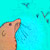 :iconj-b-floyd: