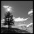 :iconj-bermond:
