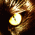 :iconj-gardner:
