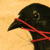 :iconj-gosper: