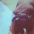 :iconj-kat004:
