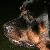 :iconj-radpics: