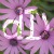 :iconj-u-s-t-s: