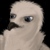 :iconJabenami: