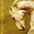 :iconjacanidae: