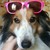 :iconjacarandaart: