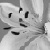 :iconjacarandablue: