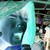 :iconjaciboo:
