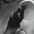 :iconjack--of--blades: