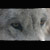:iconjack-13: