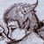 :iconjack-helaris: